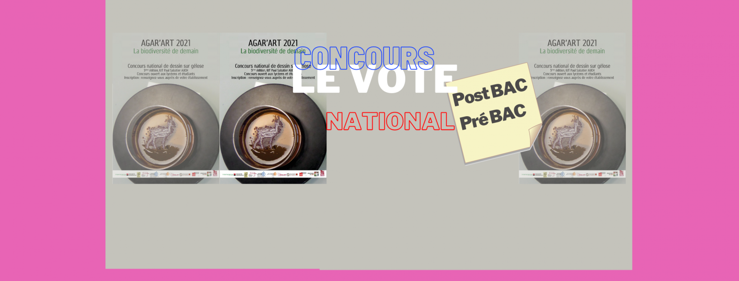 Concours Agar Art 2021 Le vote national